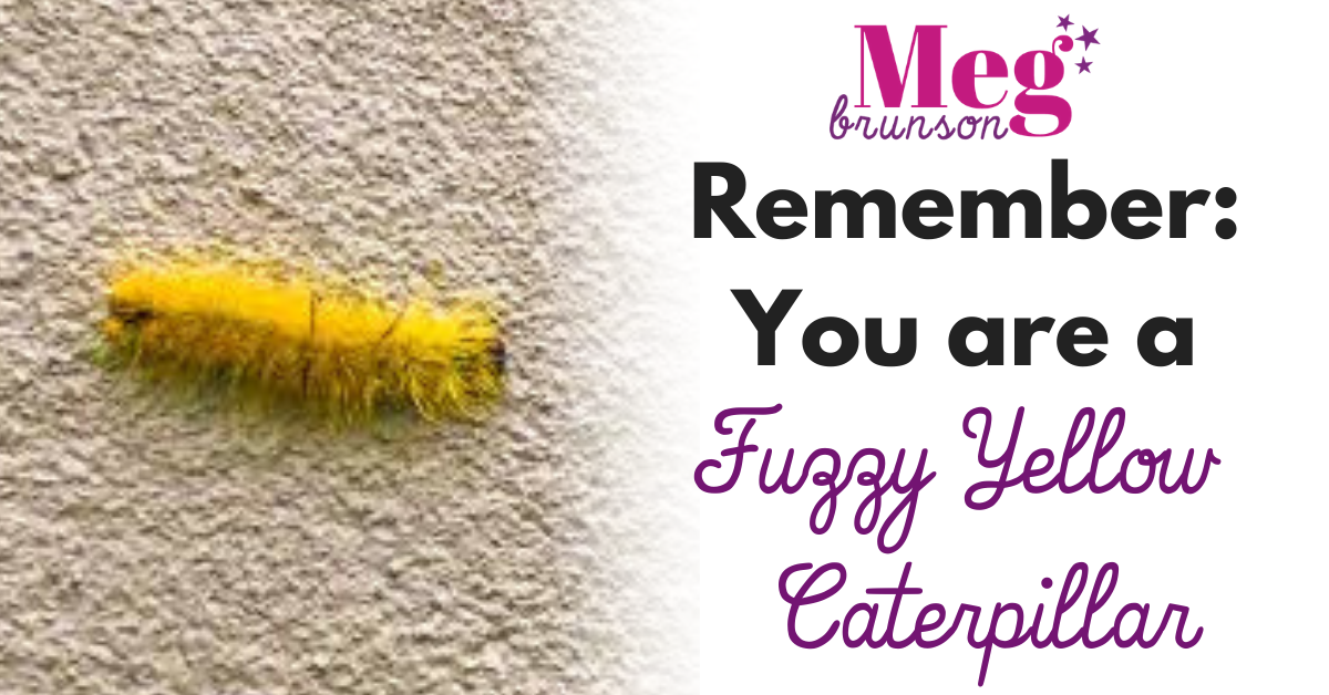 Remember: You are a Fuzzy Yellow Caterpillar