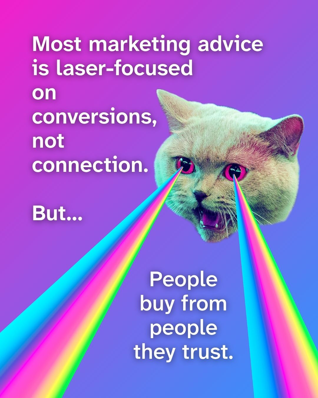 'Most marketing advice is laser-focused on conversions, not connection. But... People buy from people they trust.' appears in bold white text. A humorous photo-edited cat with glowing pink eyes shoots rainbow laser beams downward across a vivid purple-to-pink gradient background.